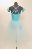 Ballet tutu dress has glitter velvet pinch front leotard & detachable pull-on pouf sleeves. Has attached crystal blue tulle layered skirt & crystal hair piece. Back