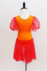 Bright orange leotard has red sheer sleeves &  red sheer  skirt. The bodice had red & gold painted leaf accents  from shoulder to front center pinch front. Back
