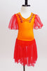 Bright orange leotard has red sheer sleeves &  red sheer  skirt. The bodice had red & gold painted leaf accents  from shoulder to front center pinch front. Front zoom