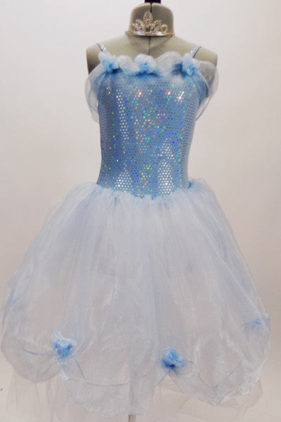 Pale blue dotted bodice has layers of white tulle, pale blue organza overlay with roses & a long  organza sash that extends down the back.  Comes with tiara. Front