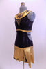 Black and gold leather-like leotard dress has custom painted Egyptian markings on skirt, bodice and large gold Egyptian pharaoh collar. Has an open lower back and cascade on back of skirt. Comes with gold hair accessory. Side