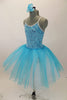 Aqua-blue velvet camisole leotard has silver piping and a glittery crackle pattern. Comes with aqua & white romantic pull-on tutu skirt & rose hair accessory. Left Side