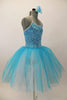 Aqua-blue velvet camisole leotard has silver piping and a glittery crackle pattern. Comes with aqua & white romantic pull-on tutu skirt & rose hair accessory. Right side