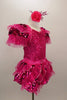 Fuchsia costume has organza ruffle sequin mesh on  sleeves & bubble skirt. The sequined bodice  is covered with crystals. Comes with matching hair accessory. Right side