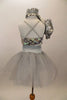 Silver two piece costume has camisole biketard with silver sequined bust Has an attached asymmetrical stretch-satin shrug & separate silver crystal tulle skirt. Comes with hair accessory and white gloves. Back