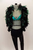 Costume comes with black sequined vest with green-blue boa collar. Has black textured leggings & metallic teal bra with gold  accent. Comes with feathered mask. Front