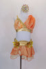 2-piece costume in shades of gold, cream & orange has wide gold appliqued waistband, chiffon skirt & attached briefs. Bra has gold braiding & chiffon overlay. Comes with crystaled hair accessory. Front