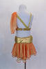 2-piece costume in shades of gold, cream & orange has wide gold appliqued waistband, chiffon skirt & attached briefs. Bra has gold braiding & chiffon overlay. Comes with crystaled hair accessory. Back