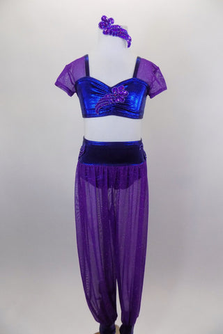 Two-piece costume has purple glitter mesh harem pants with blue waistband & ankle cuffs. The matching top is blue with purple cap sleeves. Comes with hair piece. Front