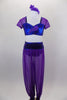 Two-piece costume has purple glitter mesh harem pants with blue waistband & ankle cuffs. The matching top is blue with purple cap sleeves. Comes with hair piece. Front