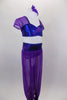 Two-piece costume has purple glitter mesh harem pants with blue waistband & ankle cuffs. The matching top is blue with purple cap sleeves. Comes with hair piece. Right side