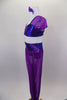 Two-piece costume has purple glitter mesh harem pants with blue waistband & ankle cuffs. The matching top is blue with purple cap sleeves. Comes with hair piece. Left side