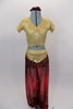 Iridescent burgundy sheer harem pants with glittery swirls compliment the textured gold half-top of this Arabian themed costume, The pants have built panty. Comes with matching hair scrunchie. Front