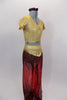 Iridescent burgundy sheer harem pants with glittery swirls compliment the textured gold half-top of this Arabian themed costume, The pants have built panty. Comes with matching hair scrunchie. Side