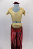 Iridescent burgundy sheer harem pants with glittery swirls compliment the textured gold half-top of this Arabian themed costume, The pants have built panty. Comes with matching hair scrunchie. Back