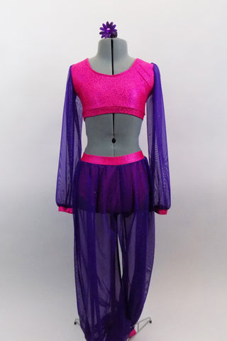  2-piece Arabian costume has purple mesh pants and long sleeves with hot pink paisley tone-on-tone base that make up the bodice shorts, waistband & cuffs. Comes with hair accessory. Front