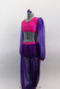  2-piece Arabian costume has purple mesh pants and long sleeves with hot pink paisley tone-on-tone base that make up the bodice shorts, waistband & cuffs. Comes with hair accessory. Side