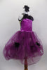 Purple glitter velvet bodice lined with black satin roses at top & on looped purple tulle skirt of this costume with sheer nude back with black edging. Comes with black rose hair accessory. Right side