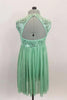 Mint leotard dress has sequined A-line bodice with brooch accent and open back. The skirt is a soft flowing glitter mesh. Comes with matching hair accessory.Back