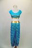 Turquoise & gold 2-piece genie costume has sequined top with mesh upper & gold banding. Pants are sheer with dangling sequins & gold brief. Has gold hair piece. Back