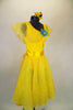 Sunshine yellow dress has full circle lace skit. The body is a Lycra tank base with lace Puritan collar & blue flower. Comes with sash & flower hair accessory. Right side