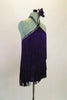 Deep purple halter fringe dress has neckline and low back lined with AB Swarovski crystals. The halter neck band has a double band of crystals for added bling. Side