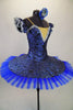 Royal blue velvet base with silver glitter swirl pattern has Russian style bodice & matching circular overlay Has 6 layer blue pleated professional pancake tutu. Comes with hair accessory. Side