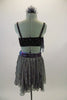 3-piece costume has black crystaled bra top with grey chiffon at bust.  Skirt is strips of grey chiffon with separate bottom. Has sash belt & hair accessory. Back