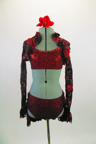 3-piece costume has red metallic sequined bra top that matches the brief with red and black lace bustle & red sequined applique. Comes with matching lace shrug & hair accessory. Front