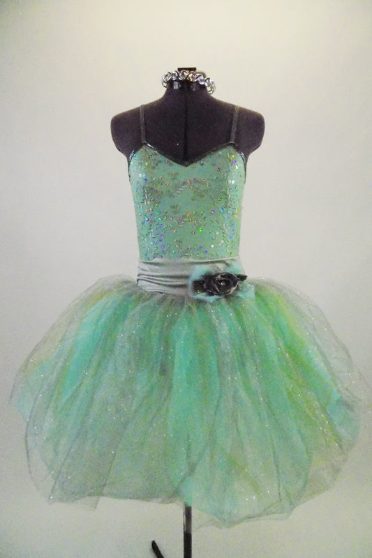 Pale mint and silver romantic tutu dress has delicate sequined bodice & layers of crystal tulle in aqua, silver & gold. Has wide silver waistband with flower. Comes with jeweled hair band. Front