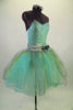 Pale mint and silver romantic tutu dress has delicate sequined bodice & layers of crystal tulle in aqua, silver & gold. Has wide silver waistband with flower. Comes with jeweled hair band. Right side