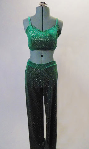 Funky 2-piece green velvet costume gold scale-like pattern. The pant has wider boot-cut and is accompanied by camisole half-top. Comes with hair accessory. Front