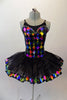 Pleated six-layer platter tutu has an attached bodice and overlay.  The colourful harlequin bodice has a faux sweetheart neckline lined with crystals and a wide matching harlequin trim in the black overlay. Comes with a crystal hair accessory. Front