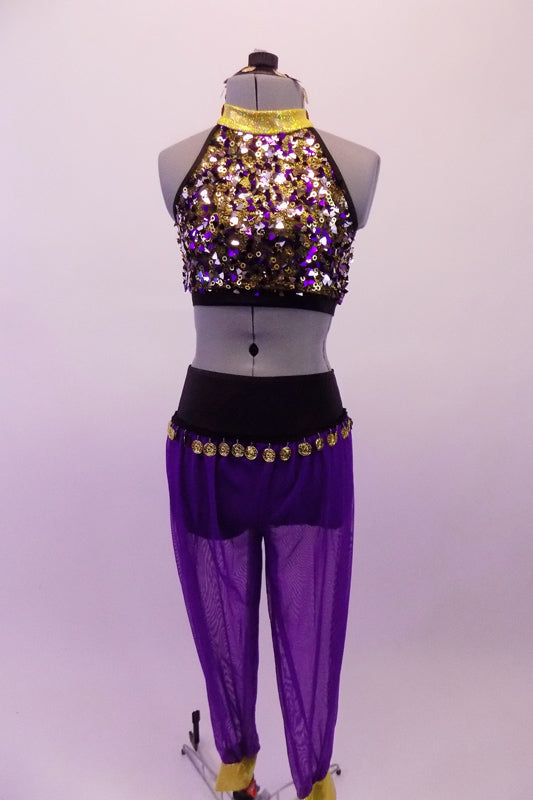 Costume has purple harem pants with gold coin trim hip accent. The halter style fully sequined half-top has double gold and black angled back straps. Comes with a gold hair accessory. Front