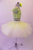Professional pleated & hand tacked, 9-layer pancake tutu is two-piece. The tutu has an ivory basque & gold crystal tulle overlay with sequin accents & appliqued flowers. The bodice is a crop style top with pearl beaded fringe, gold & green sequined, applique floral lace & scalloped cap sleeves. Comes with hair flower. Right side