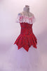 Beautiful red and pewter swirled off-shoulder leotard has an attached peplum overlay and a wide ruffle lace trim. The accompanying long white tutu skirt is layers of long white tulle. Comes with a crystal hair barrette. Side