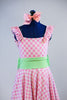 Pink and white gingham pattern dress with built in panty, shoulder ruffles and a pale green sash. Front Zoom