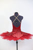 Red velvet & gold brocade bodysuit has attached overlay with front mesh insert & gold braided piping. Red hooped tutu sits beneath overlay. Has rose hair piece, Back