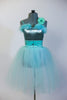 Mint metallic bodysuit with marabou & crystal broach accent with crystals. Has matching velvet waistband with crystals & a mint romantic tutu. With hair piece. Front