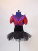 Black velvet &,red sequin leotard with purple circles and pouf sleeves. Purple ruffle around the collar & low back.Has black tutu skirt & hair accessory.Front